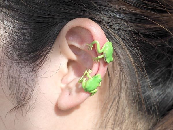 Tree Frog Ring & Earrings