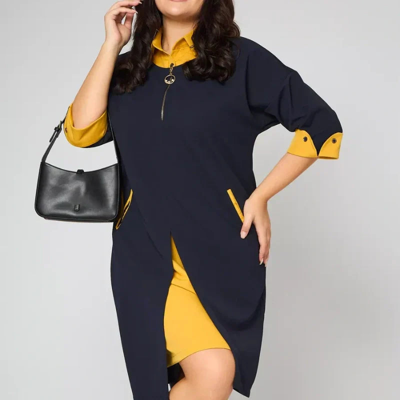 Women's Plus Size Work Dress with Pockets