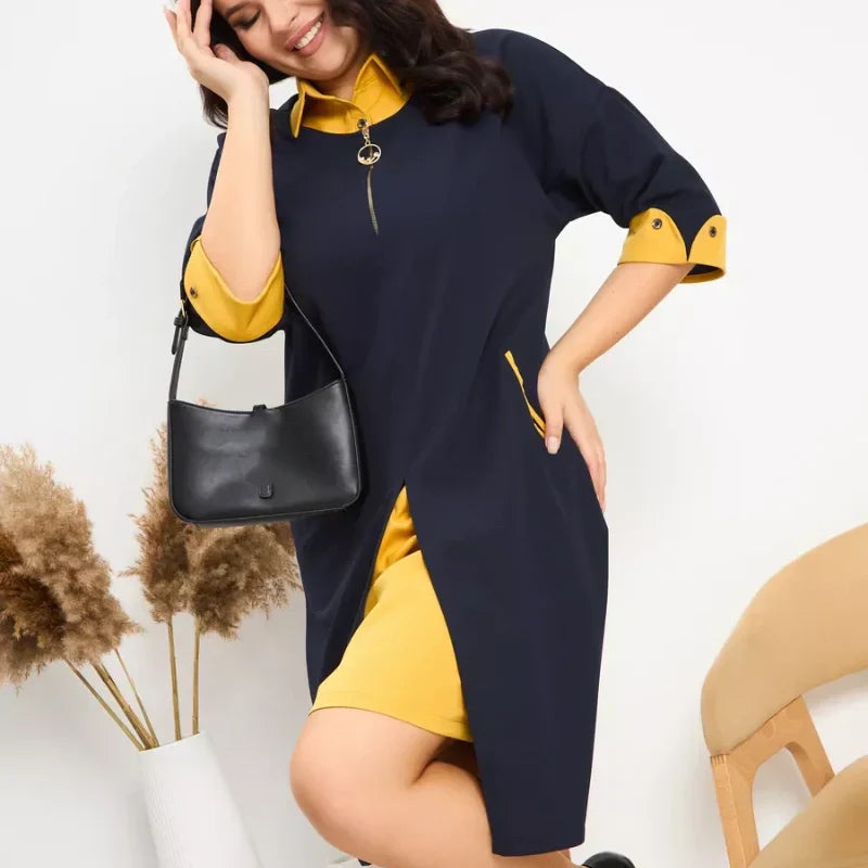 Women's Plus Size Work Dress with Pockets