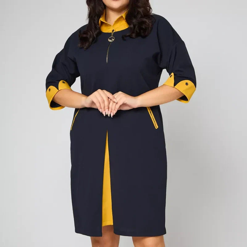 Women's Plus Size Work Dress with Pockets